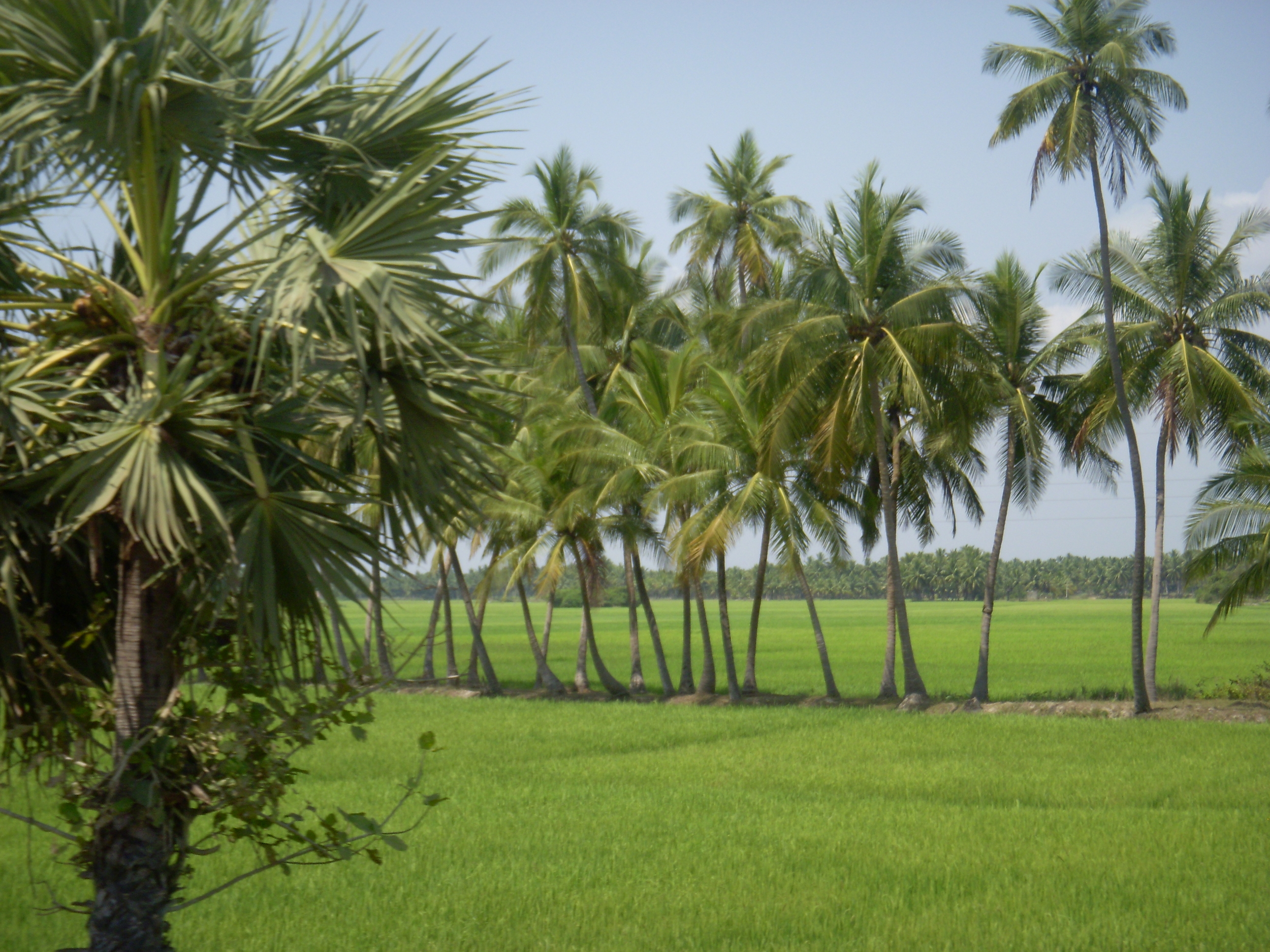 kerala