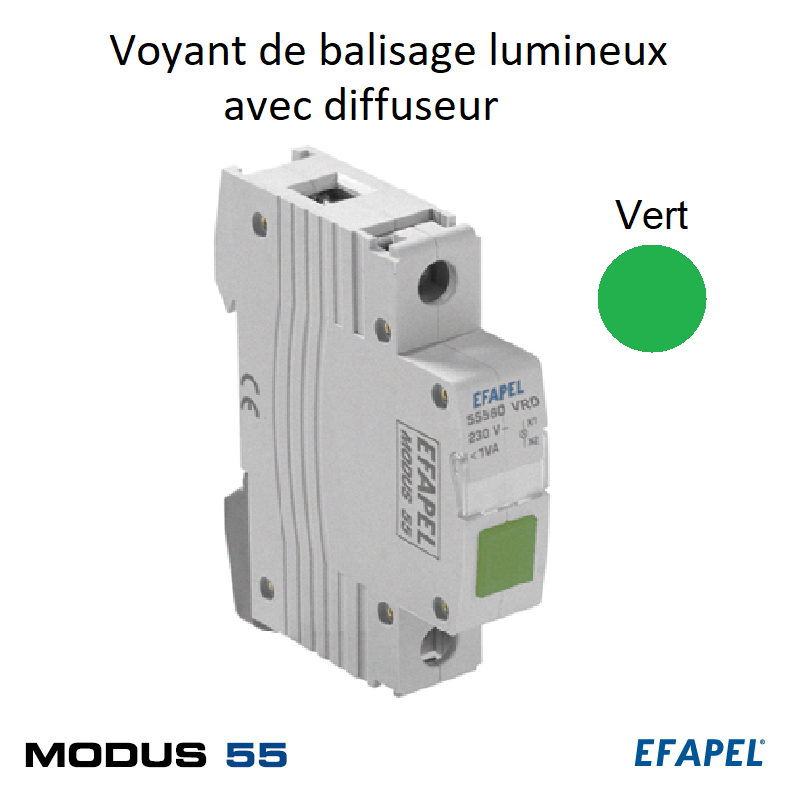 Voyant de balisage avec diffuseur 55560VRD Vert