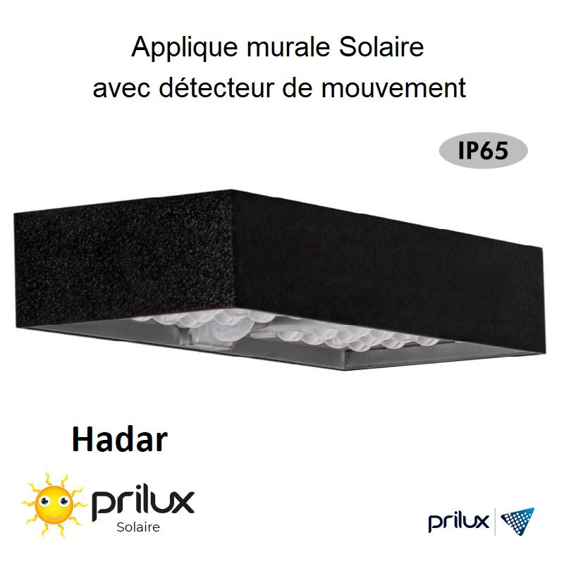 Applique murale solaire avec détecteur de mouvement HADAR 6W - Noir