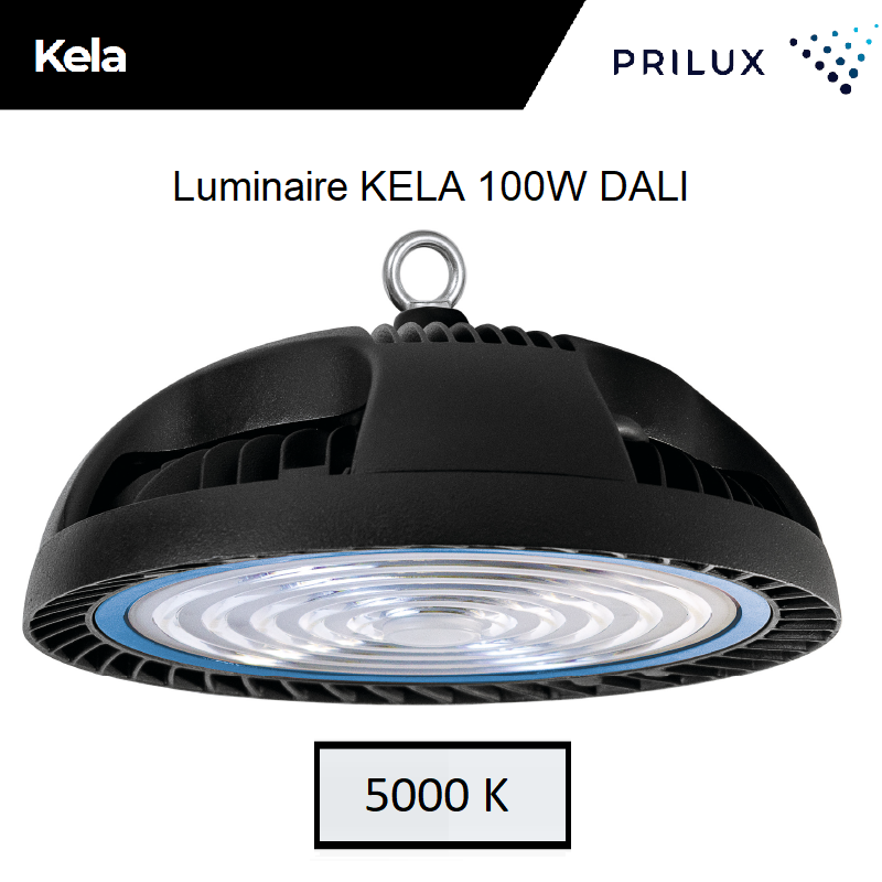 Suspension LED Grande hauteur KELA 100W DALI - 5000 kelvin