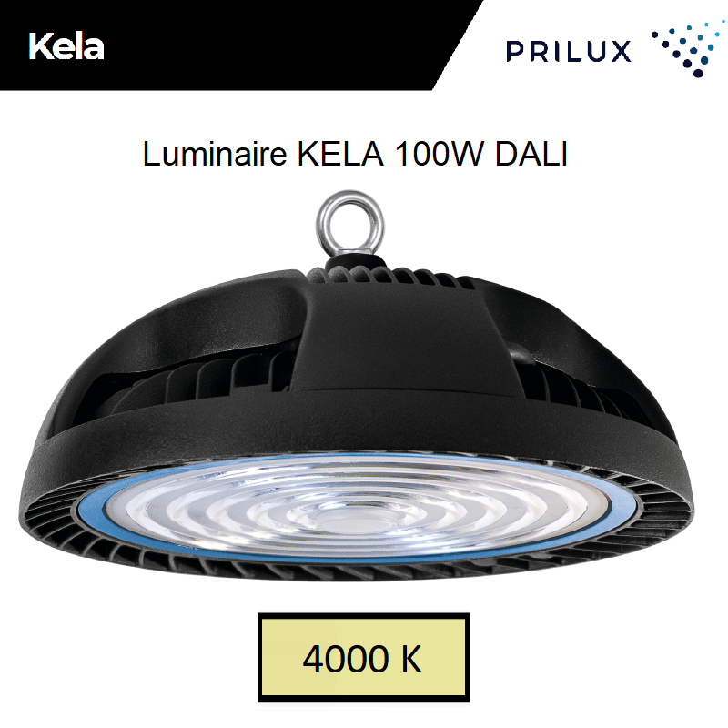 Eclairage suspendu KELA 100w 4000 KELVIN 469388