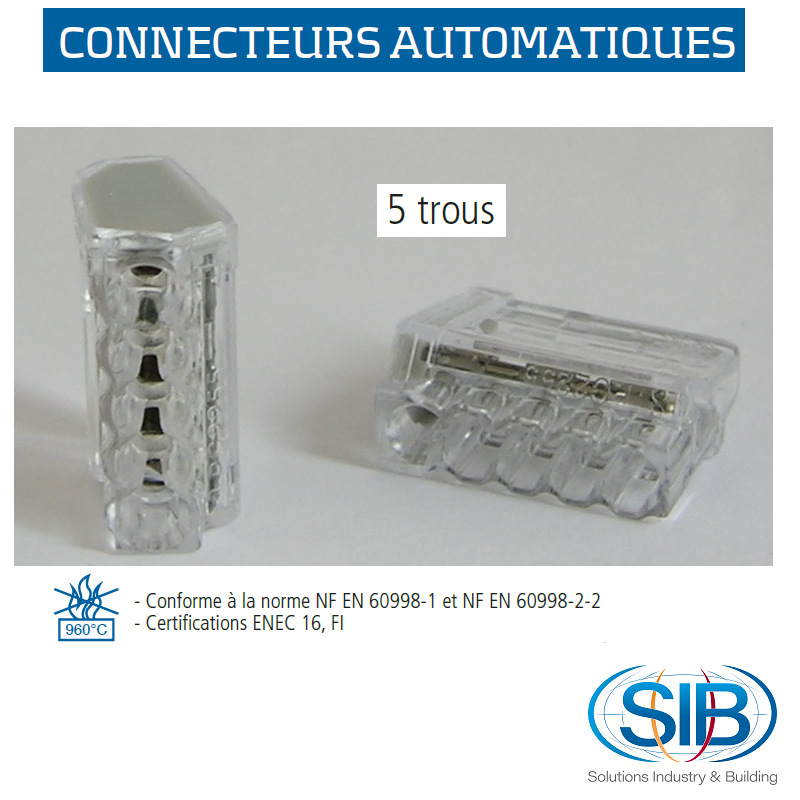 Bornes de connexion automatique Mini 5 trous - Boite de 80