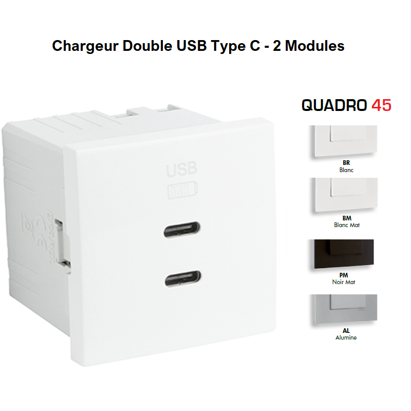 Chargeur Double USB Type C - 2 Modules 454382S
