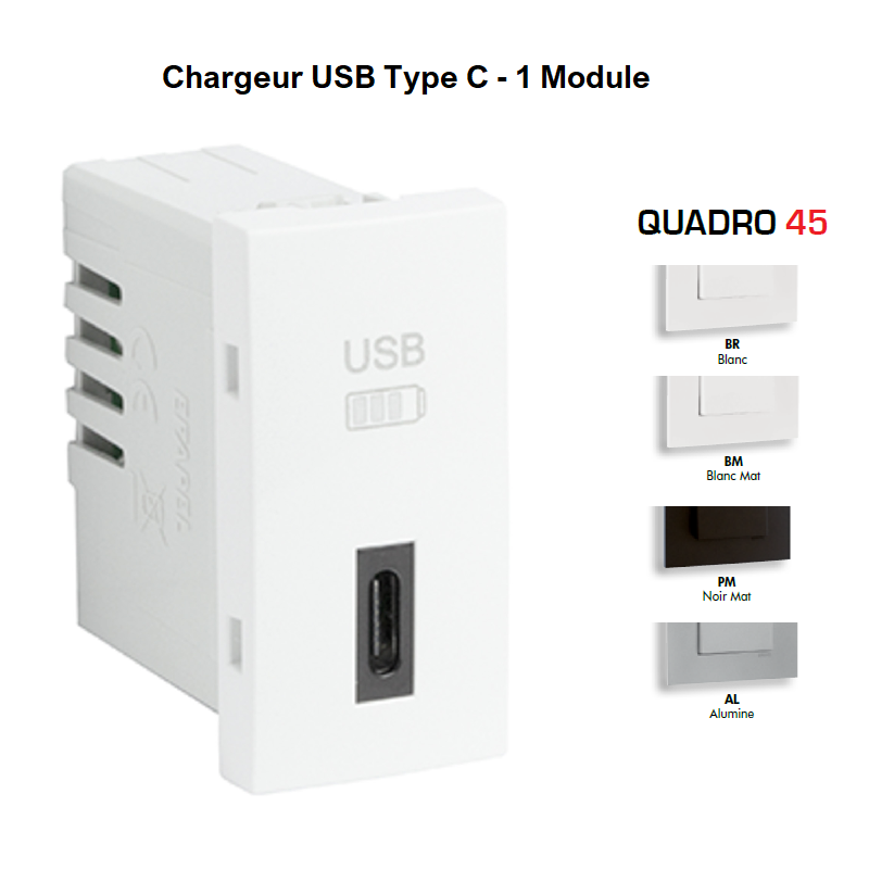 Chargeur USB Type C - 1 Module 45387S