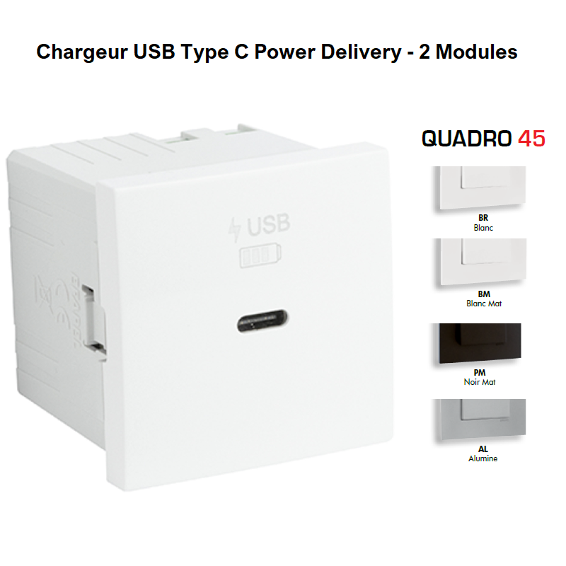 Chargeur USB Type C Power Delivery - 2 Modules 45398S