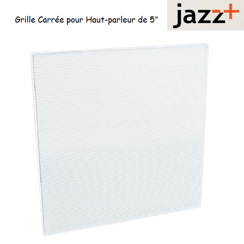 Grille carrée pour haut parleur 5