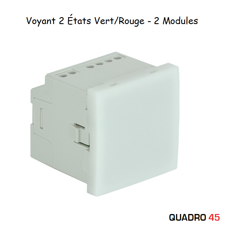 Voyant 2 états Vert/Rouge - 2 modules MEC Q45