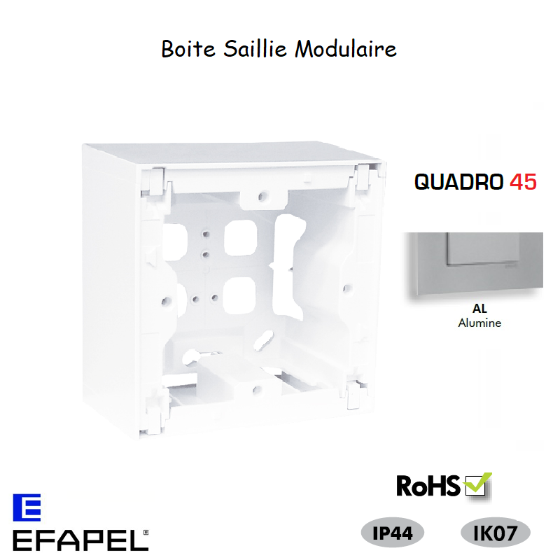 Boite Saillie pour modulaire Quadro45 45996AAL