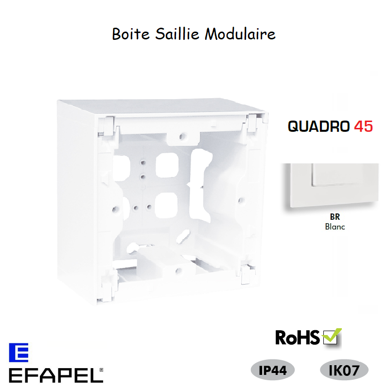 Boite Saillie pour modulaire Quadro45 45996ABR