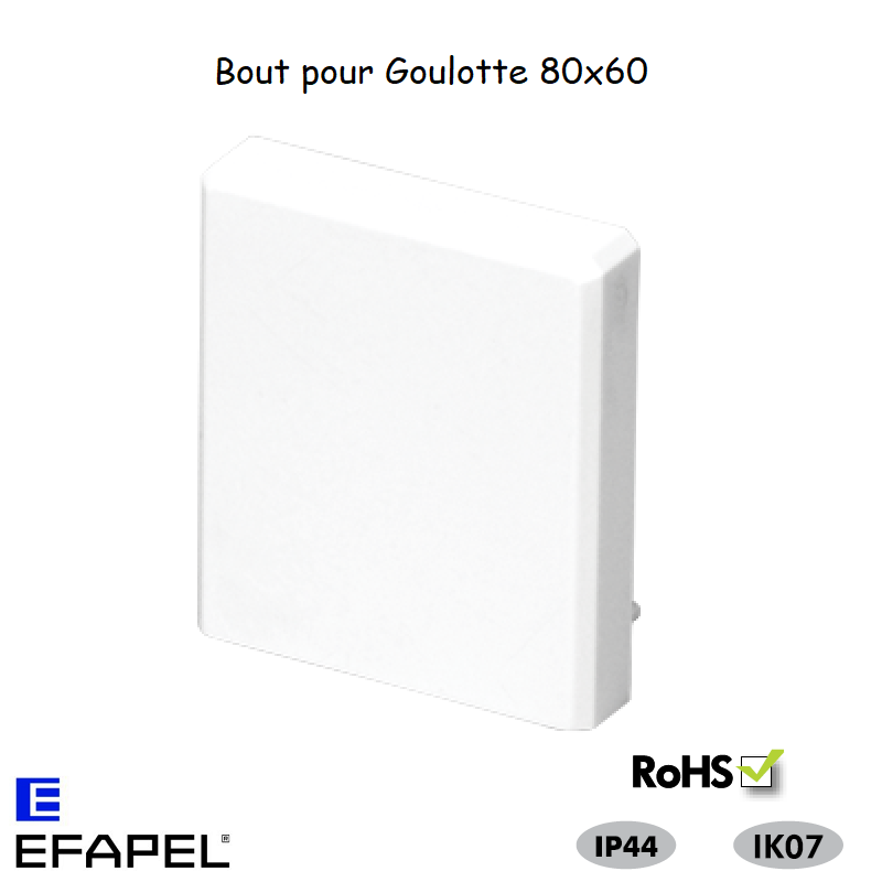 Bout pour goulotte série 13 80x60 13065