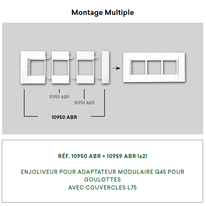montage 10950-10959