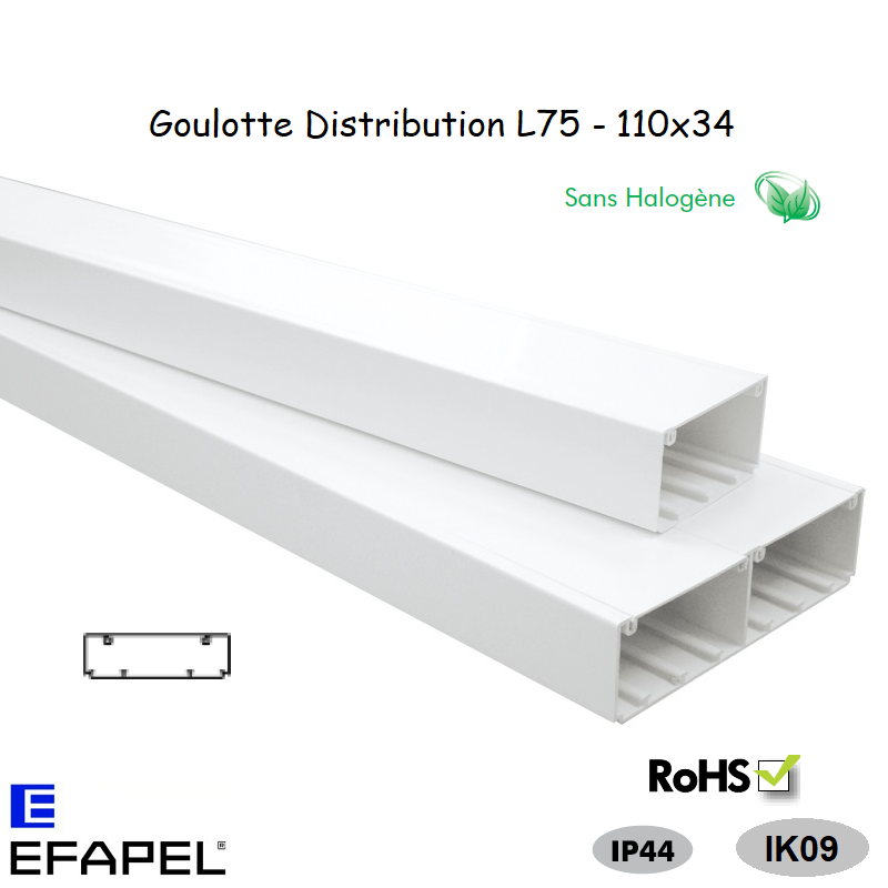 Goulotte distribution sans halogène 110x34 10080HBR