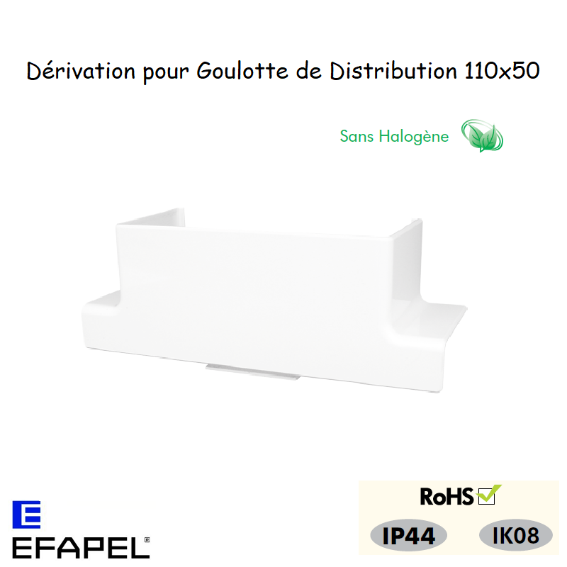 Dérivation pour goulottes distribution 10091GBR
