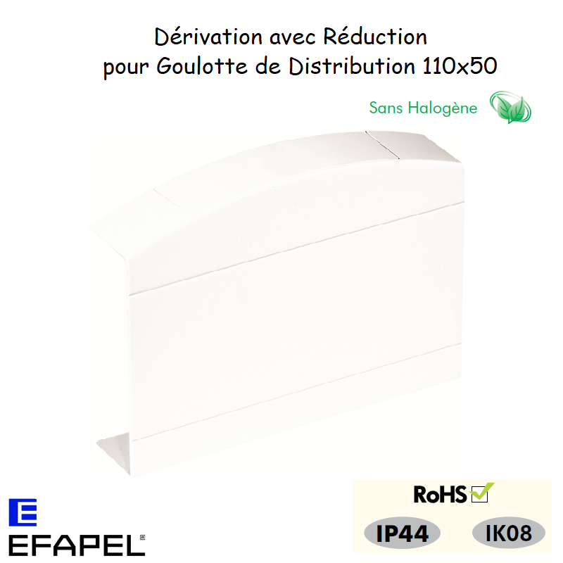 Dérivation avec réduction pour goulotte série 10 distribution 10098GBR
