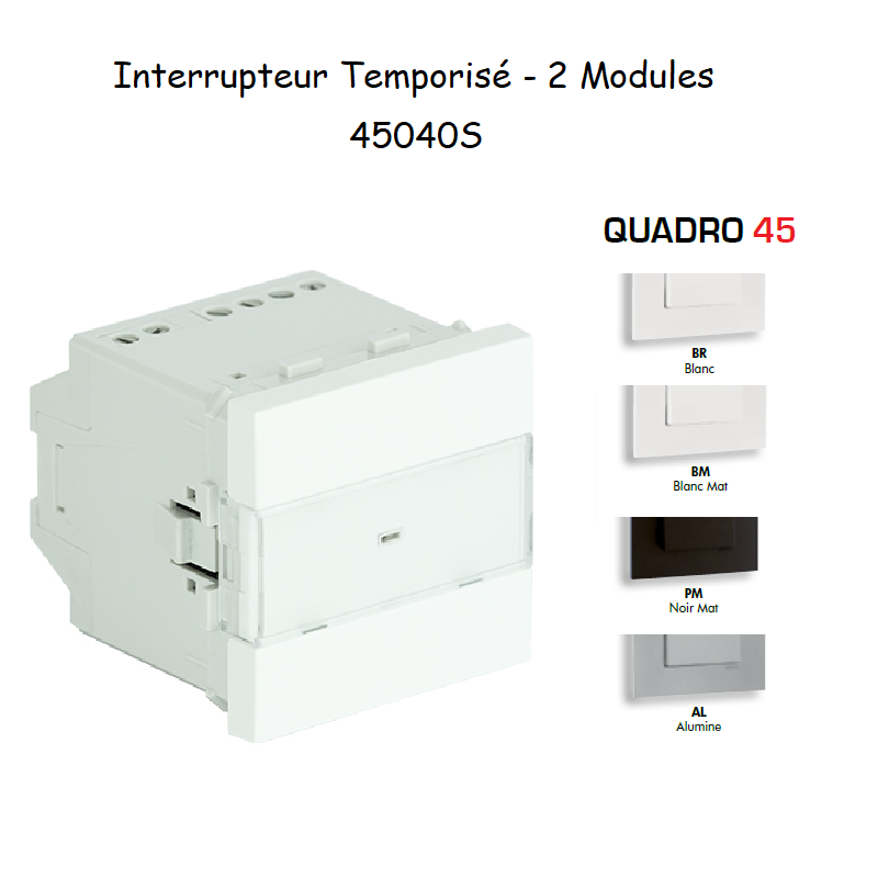 Interrupteur temporisé 2 modules Quadro 45040S