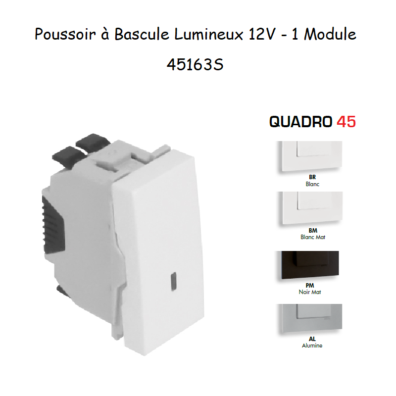 Poussoir à bascule Lumineux 12V 1 module Quadro 45163S