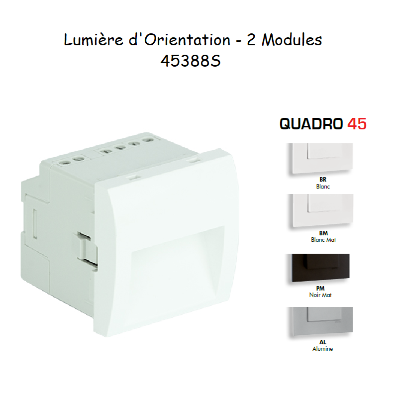 Lumière dorientation 2 modules Quadro 45388S