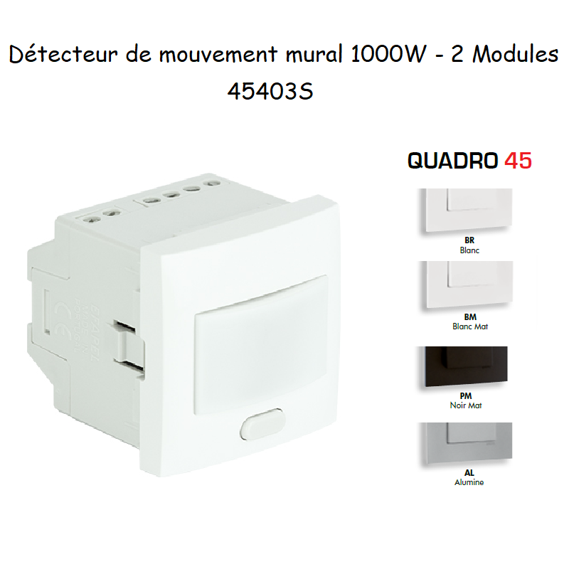 Détecteur de mouvement insatllation murale 1000W 2 modules Quadro 45403S