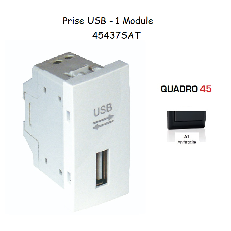 Prise USB Quadro 45437SAT Anthracite
