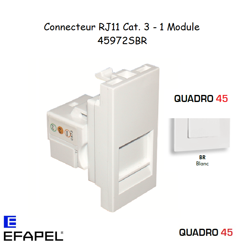Module avec connecteur RJ11 CAt. 3 45972SBR