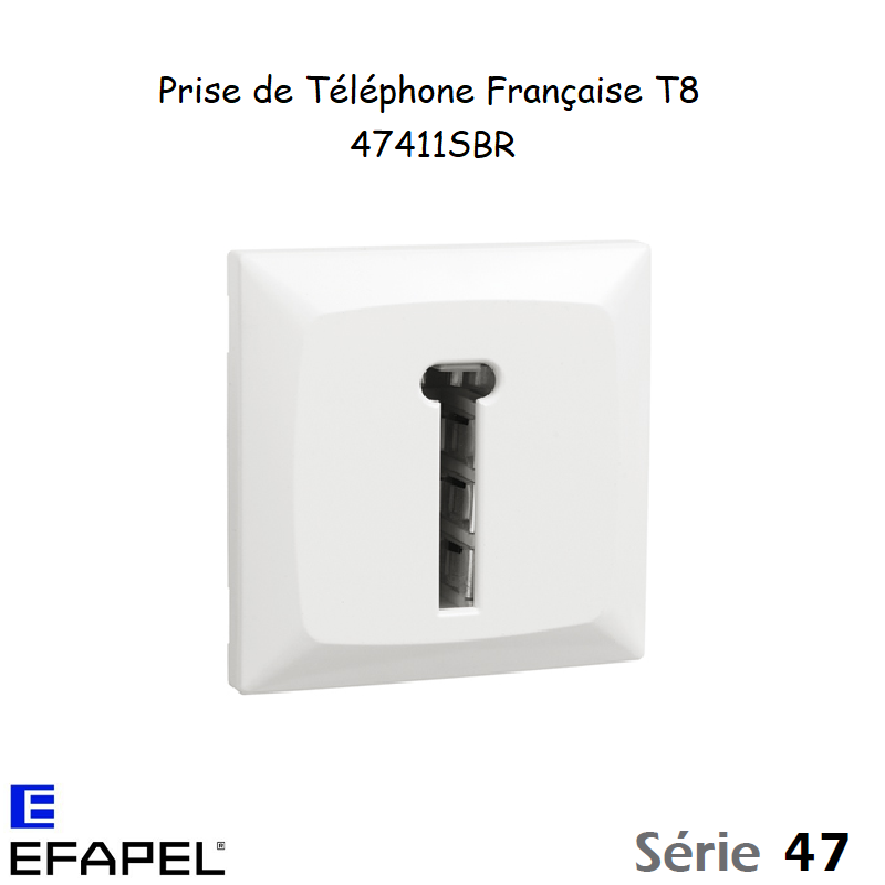 Prise de Téléphone Française 47411
