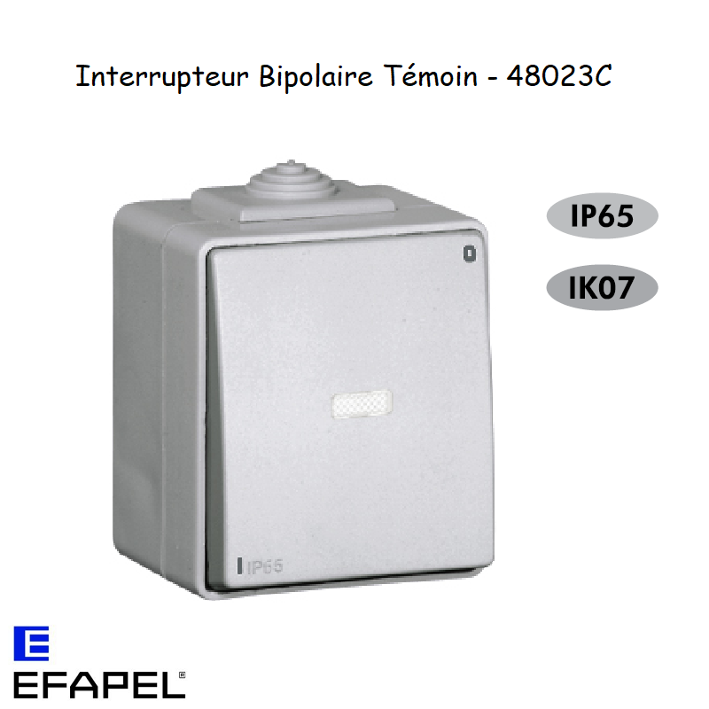Interrupteur Bipolaire Témoin Etanche 48 EFAPEL 48023C