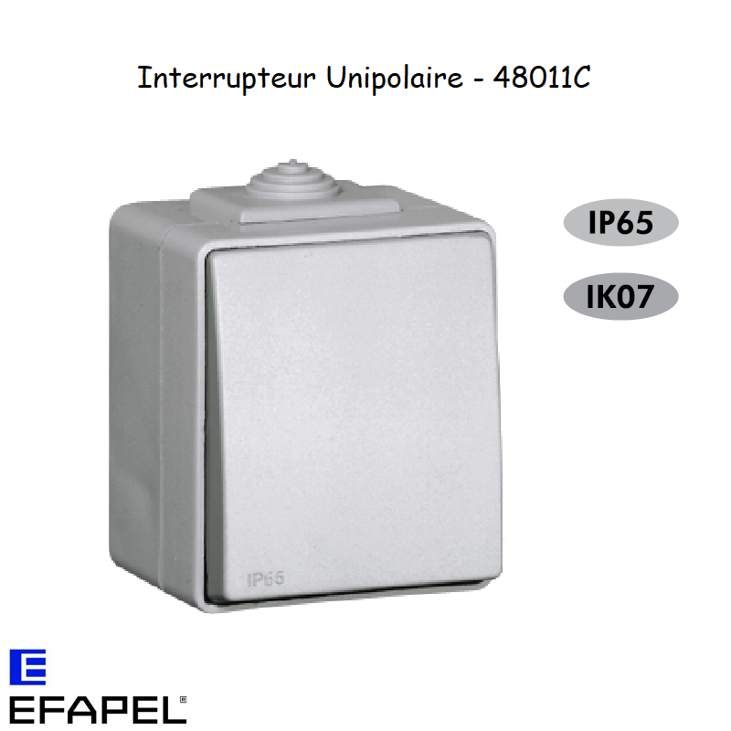 Interrupteur Unipolaire Etanche 48 EFAPEL 48011C