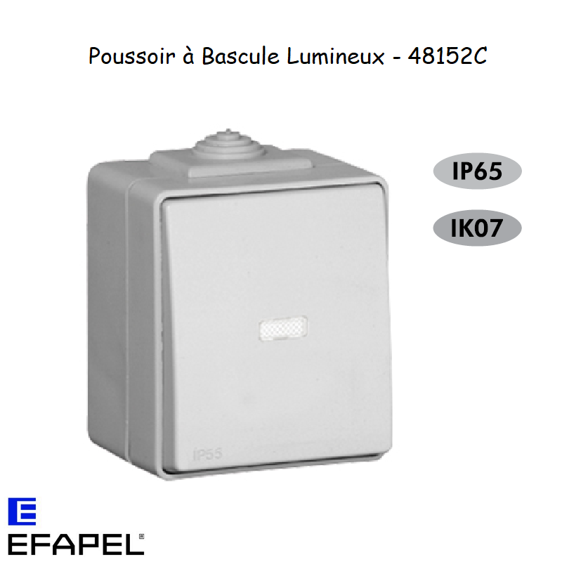 Interrupteur Poussoir à Bascule Lumineux Etanche 48 EFAPEL 48152C