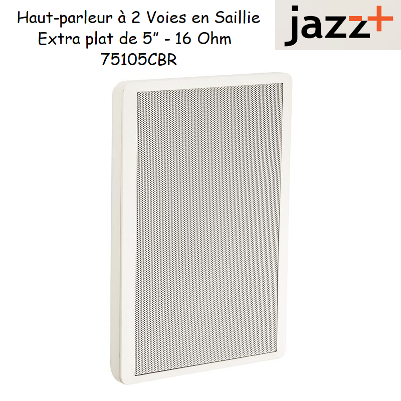 Haut parleur de 2 voies extraplan de 5 16 Ohm 75105CBR