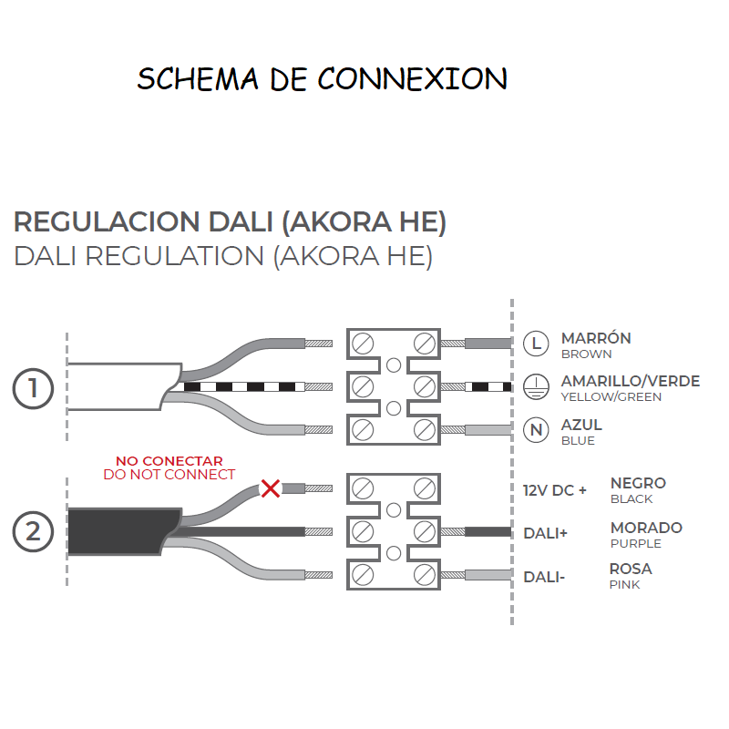 AKORA DALI - schéma de connexion