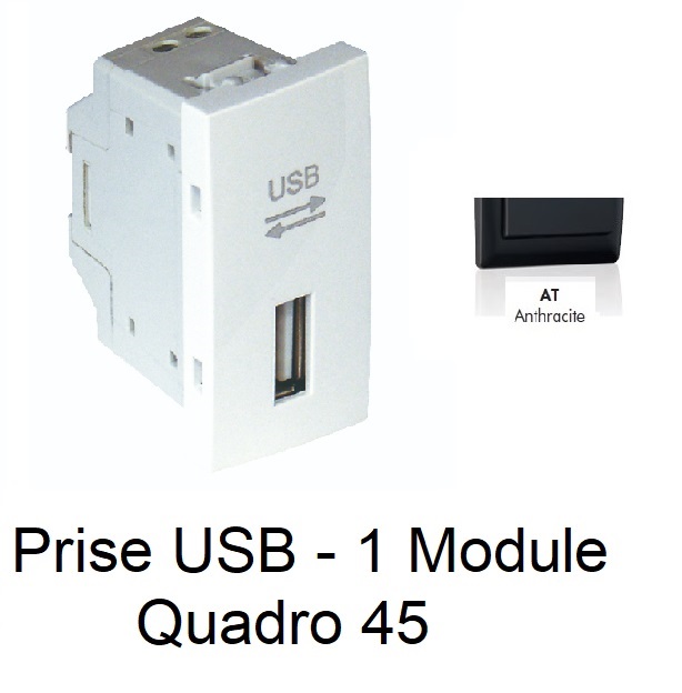 Prise USB Semi-Assemblée - 1 Module - ANTHRACITE
