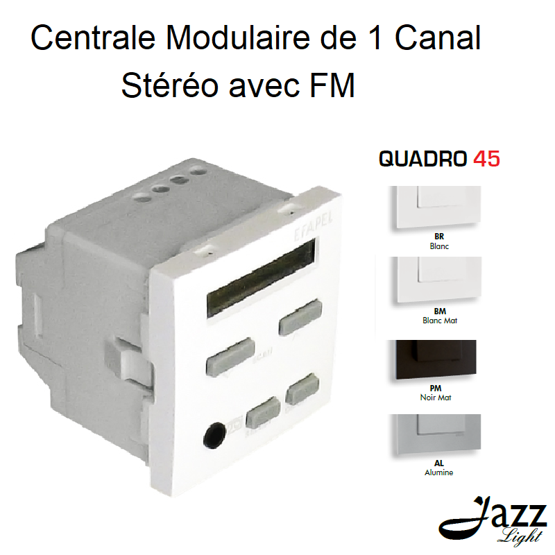 Centrale modulaire de 1 canal Stéréo avec FM 2 modules quadro45 45392S
