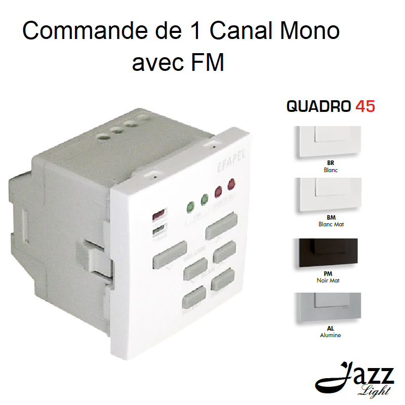 Commande de 1 canal Mono avec FM modules quadro45 45373S