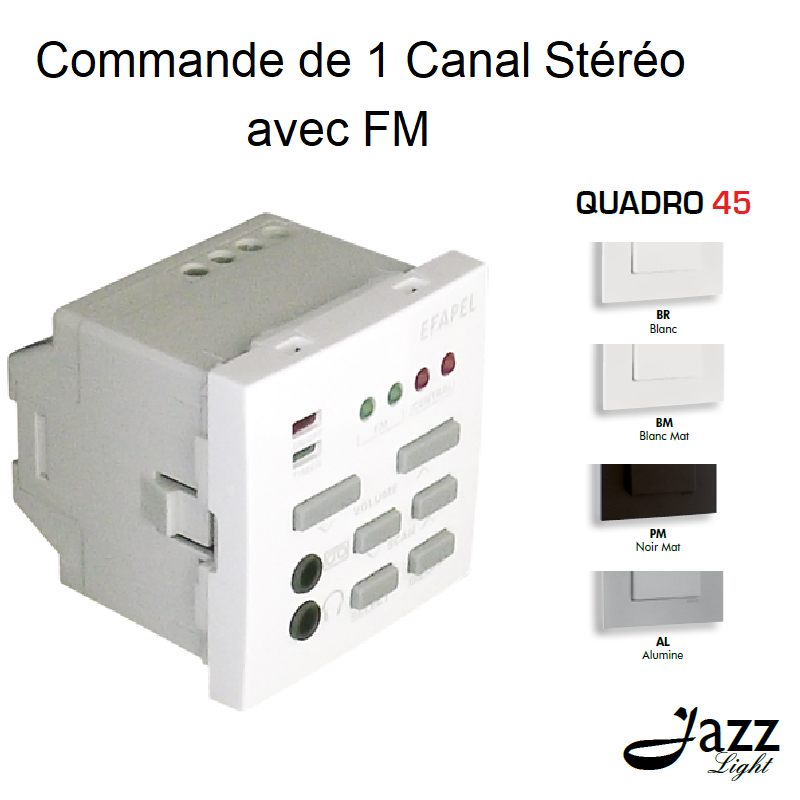 Commande de 1 canal Stéréo avec FM modules quadro45 45377S