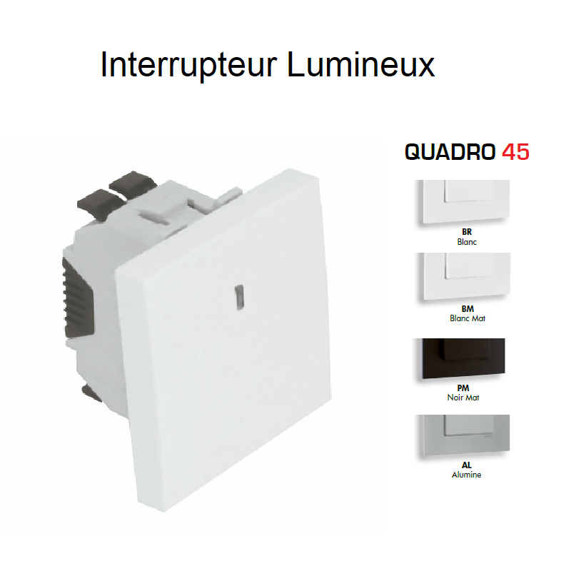 Interrupteur Lumineux Semi Assemblé Quadro45 - 2 Modules