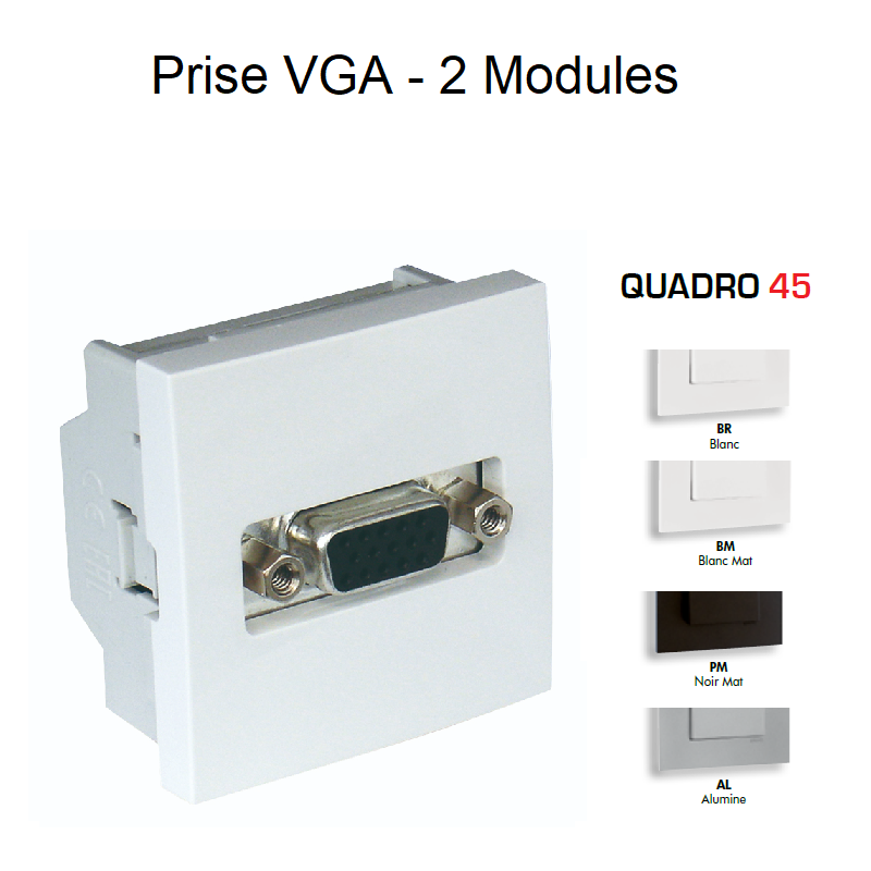 Prise VGA 2 modules Quadro 45430S