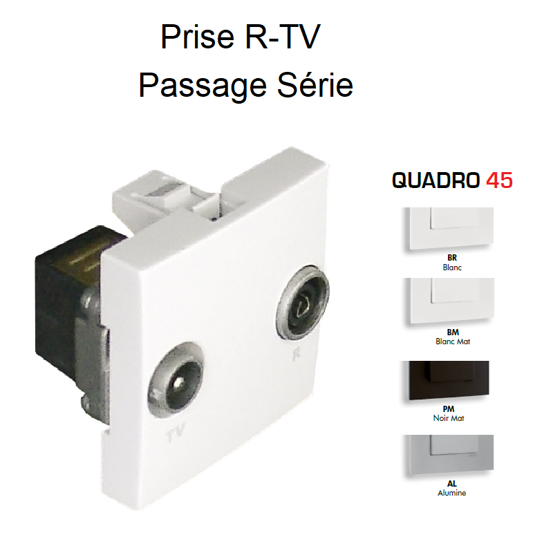 Prise R-TV Passage Série Quadro 45564S