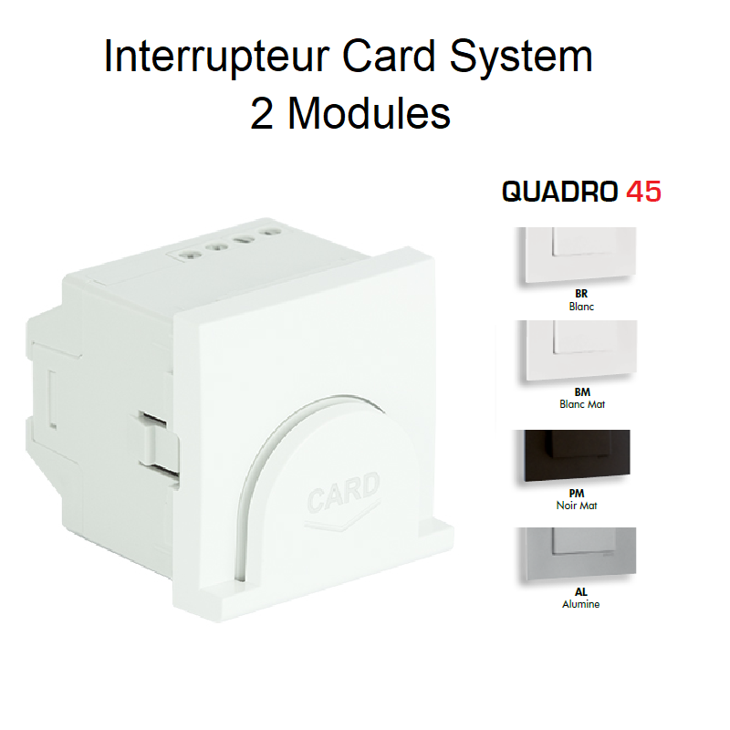 Interrupteur Card System Quadro 45 - 2 Modules