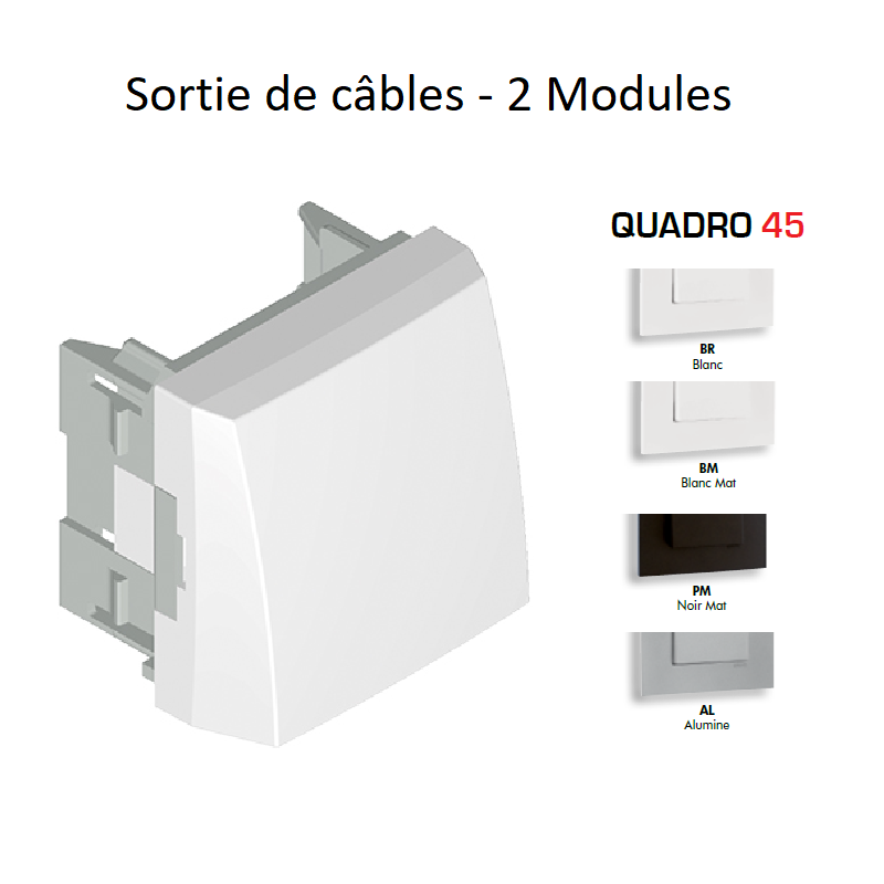 Sortie de câbles 2 modules 45170S