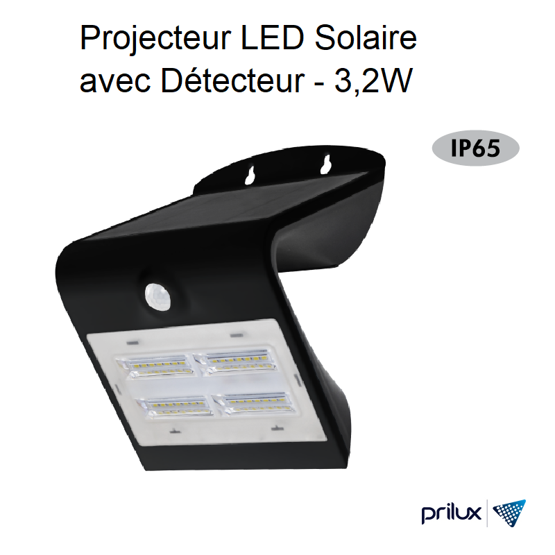 Projecteur LED Solaire avec Détecteur Noir - 3,2W - 4000 kelvin