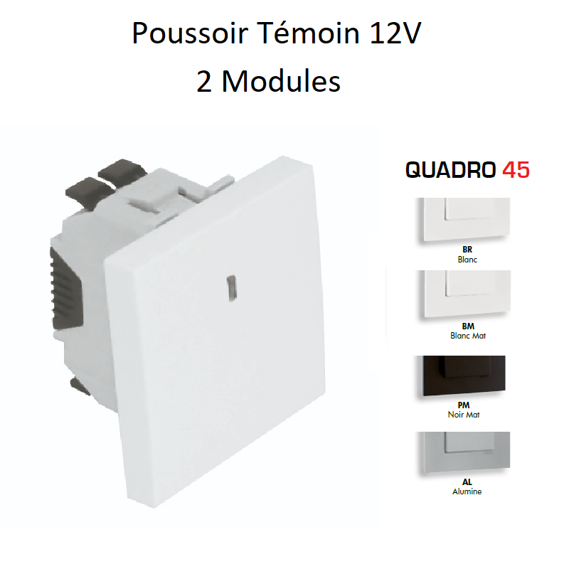 Poussoir à bascule Témoin 12V - 2 Modules MEC Q45