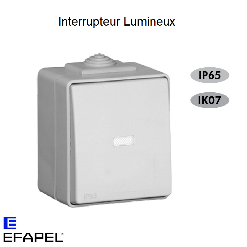 Interrupteur Lumineux IP65 Gris ou Blanc