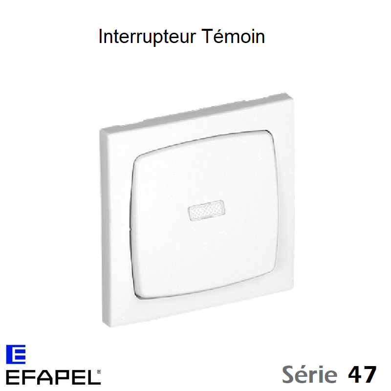 Interrupteur Témoin 47013