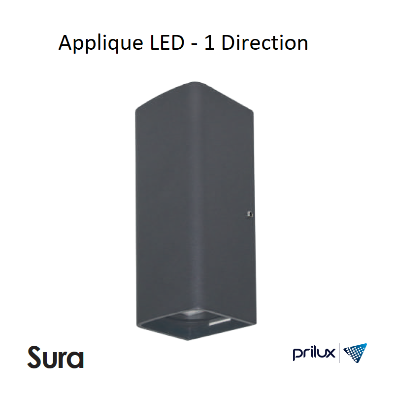 Applique LED extérieure 6W - 1 direction SURA