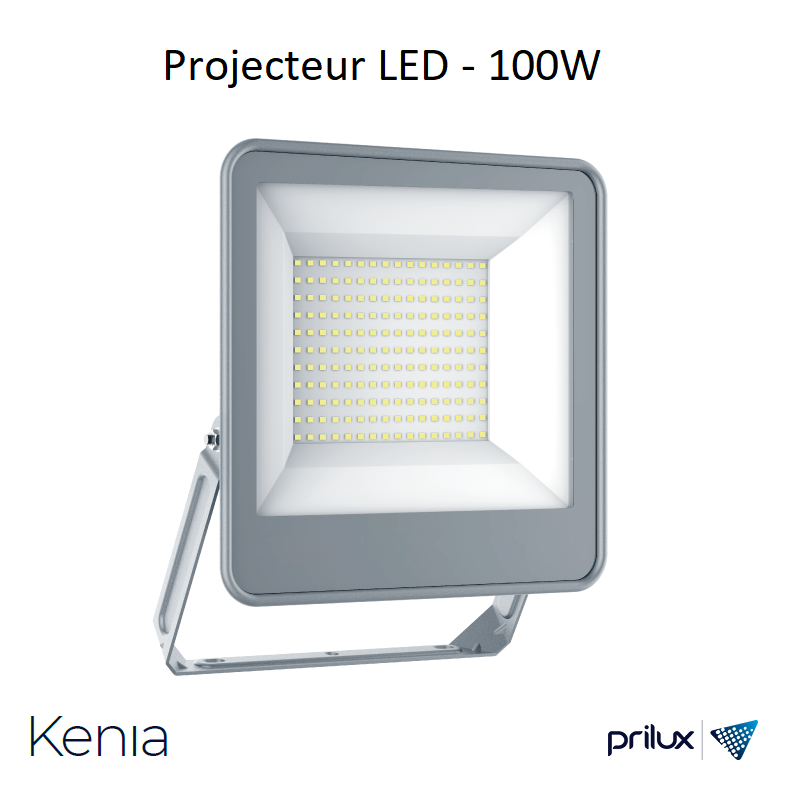 Projecteur LED KENIA - 100W