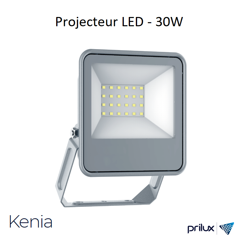 Projecteur LED KENIA - 30W