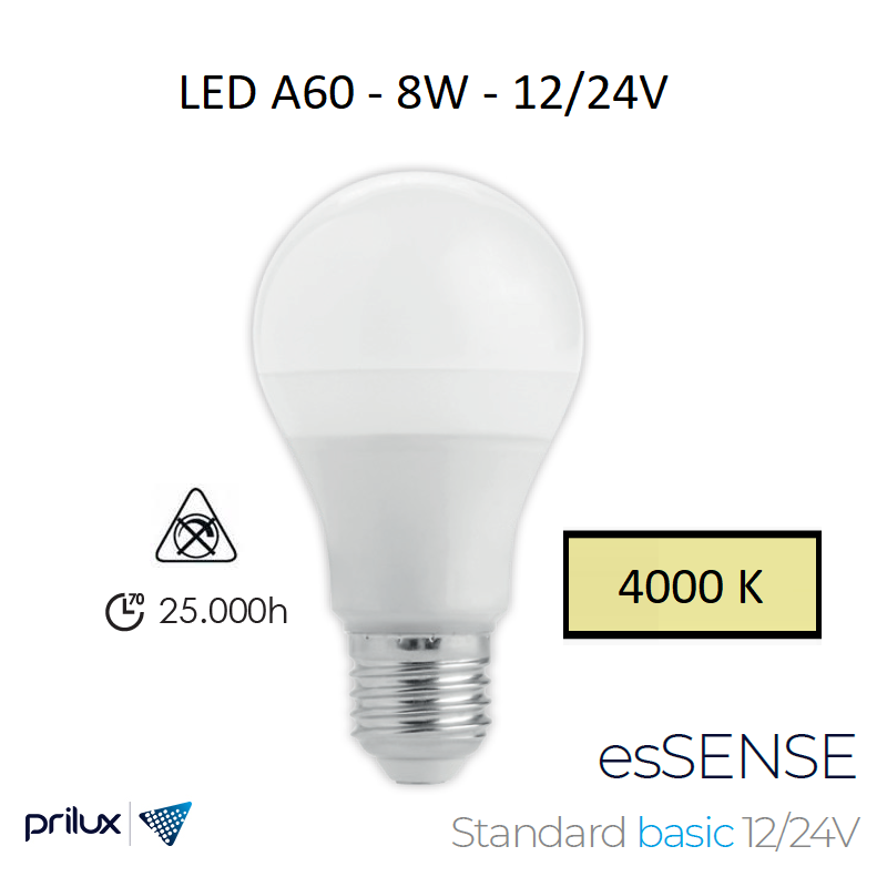 Ampoule LED A60 8W E27 - 12/24V - 4000 kelvin