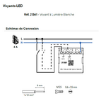 Voyant 21361 Schéma de connexion