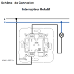 21306 Interrupteur rotatif