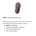 Ampoule LED voyant 81013